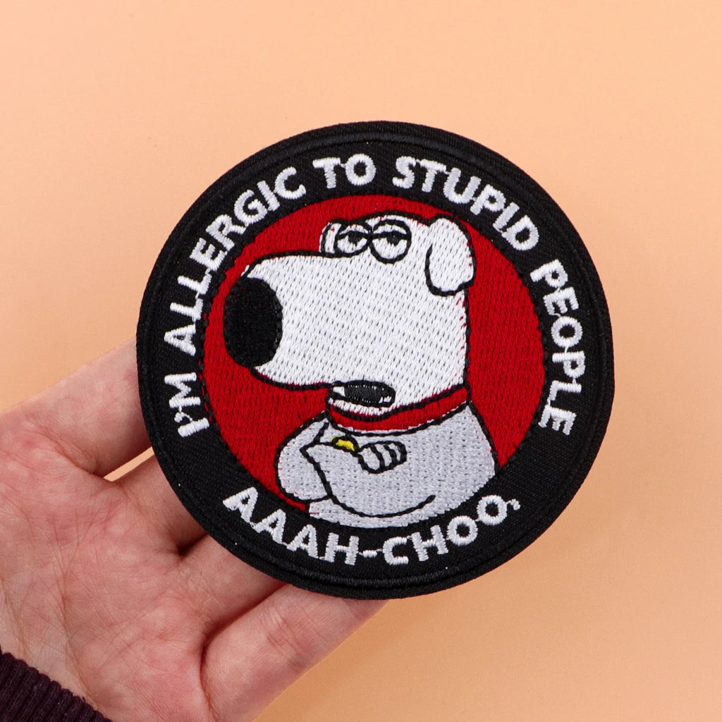 Cute Raccoon Patches On Clothes Cartoon Animals Embroidered Patches Sew Badges Iron On Patch DIY Clothing Accessories