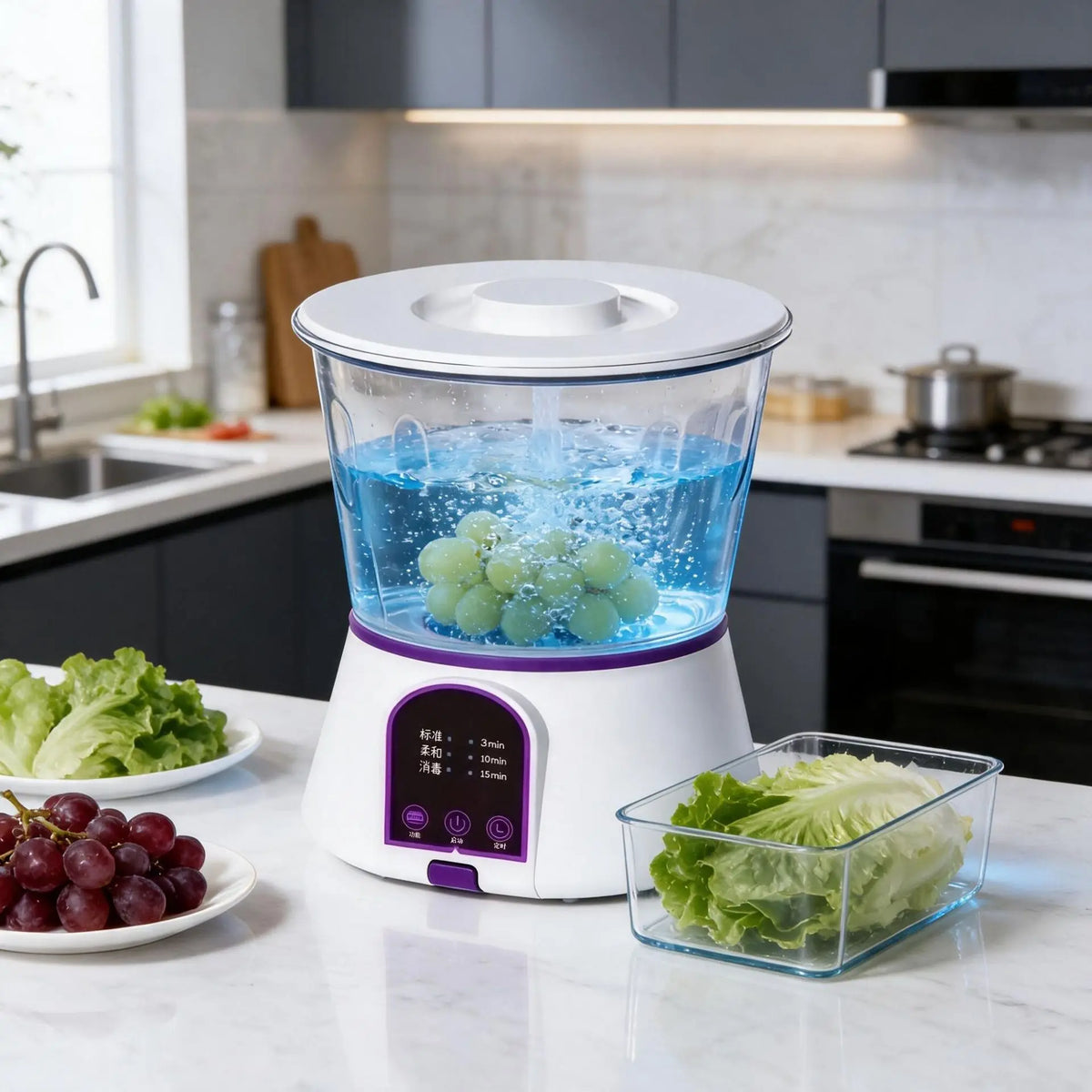 Small Purifier For Washing Fruits and Vegetables Ingredients, Meat Sterilization Removal of Pesticide Residues Washing Fruit