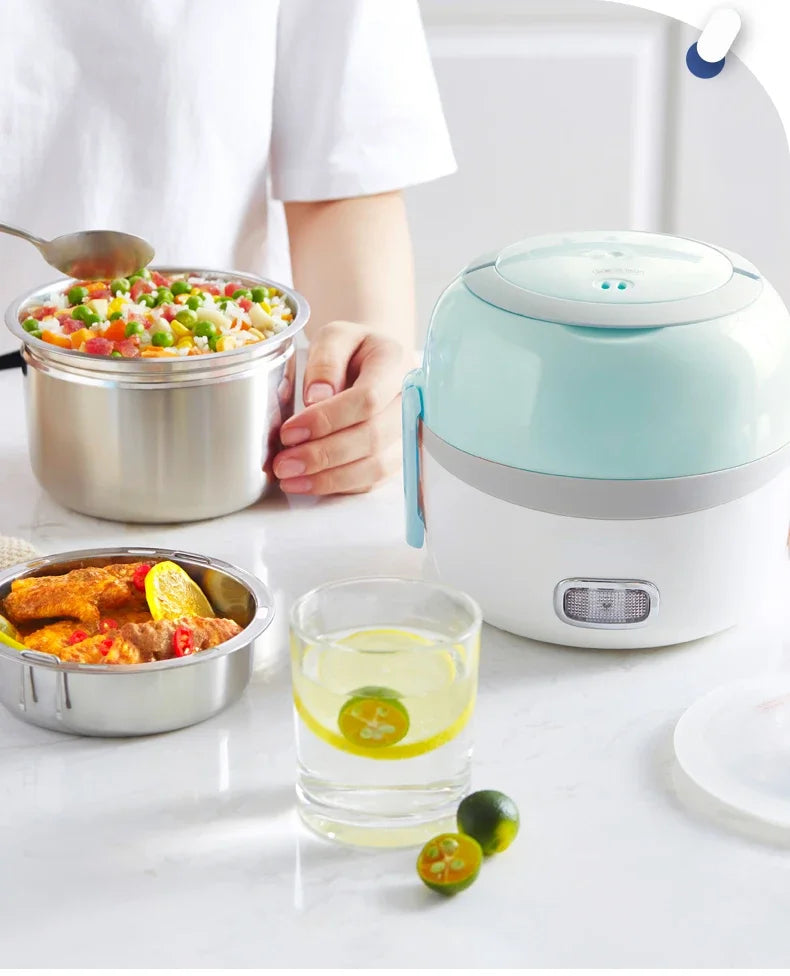 220V Electric Portable Rice Cooker Automatic Home Electric Lunch Heating Box Steaming Cooking Pot Multi Cooker