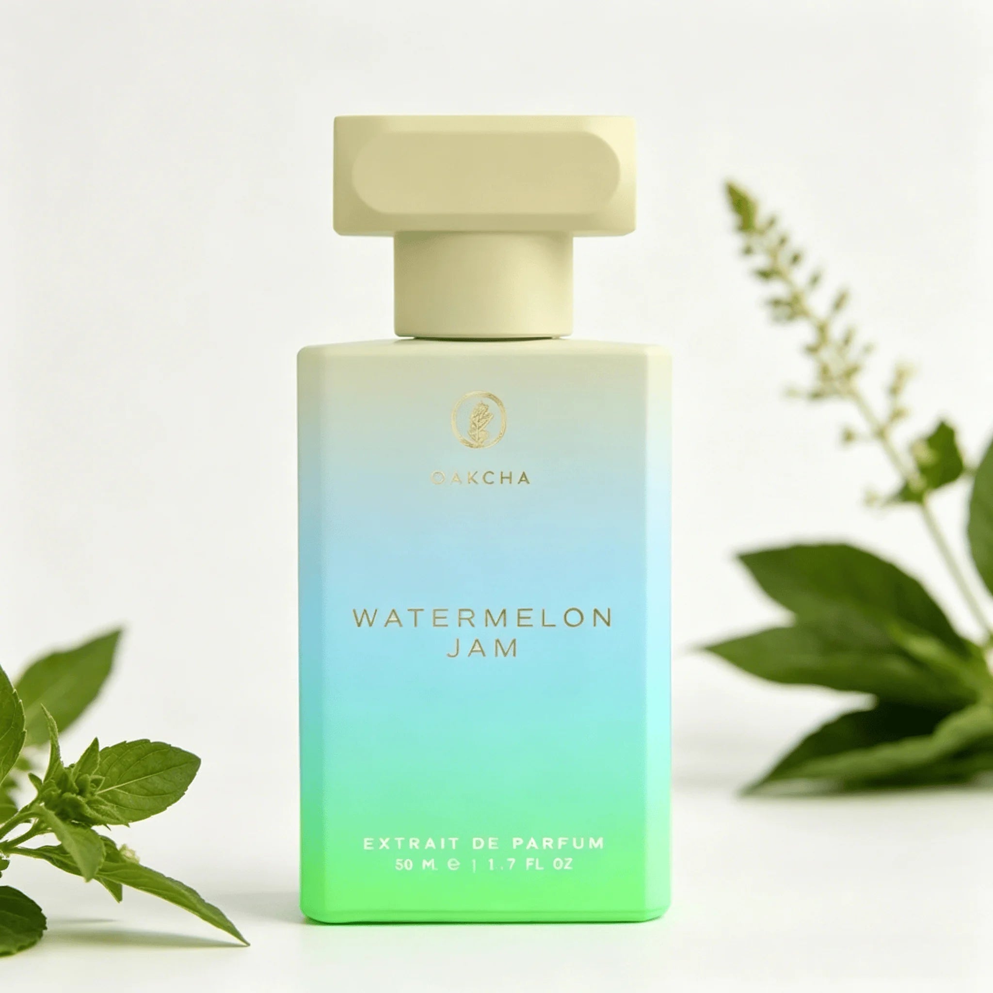 Oakcha Watermelon Jam Extrait De Parfum 50ml Long Lasting Fresh Juicy Watermelon Fruity Fragrance Women Perfume Gradient Blue Green Frosted Bottle Summer Refreshing Scent Daily Vacation Gift for Ladies