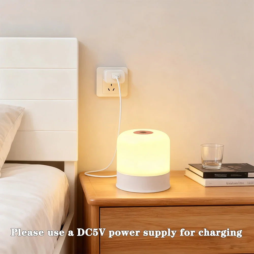 LED Touch Switch Night Lamp Remote Control Rechargeable Three Colors Dimmable Light Timing Bedside Sleeping Reading Table Lights