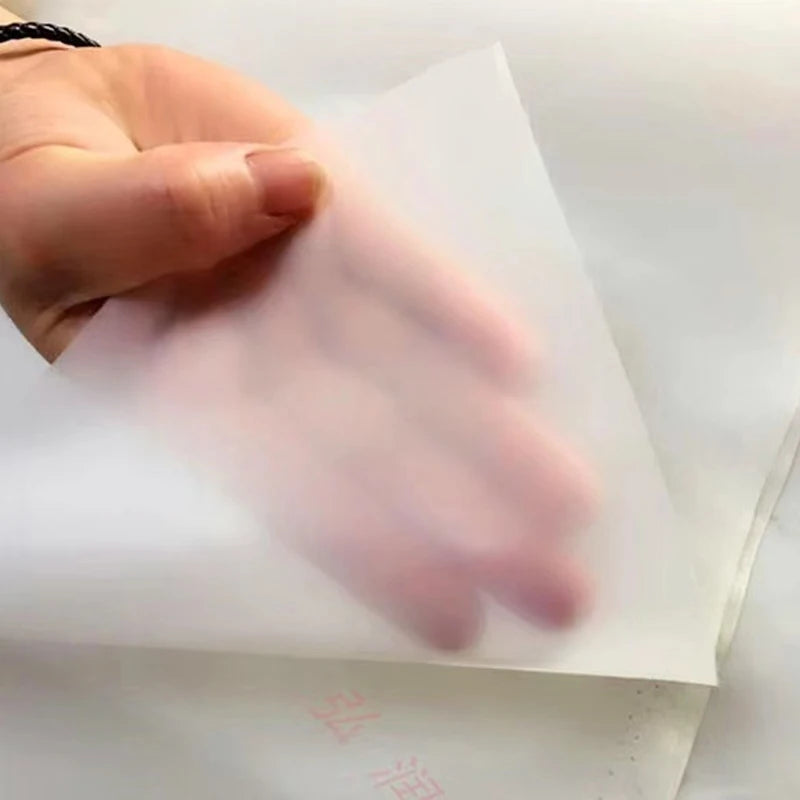 5M 600/700/ 800/900/1000 mesh gauze nylon filter mesh paint screen food / wine / liquid filter cloth printed net fabric strainer