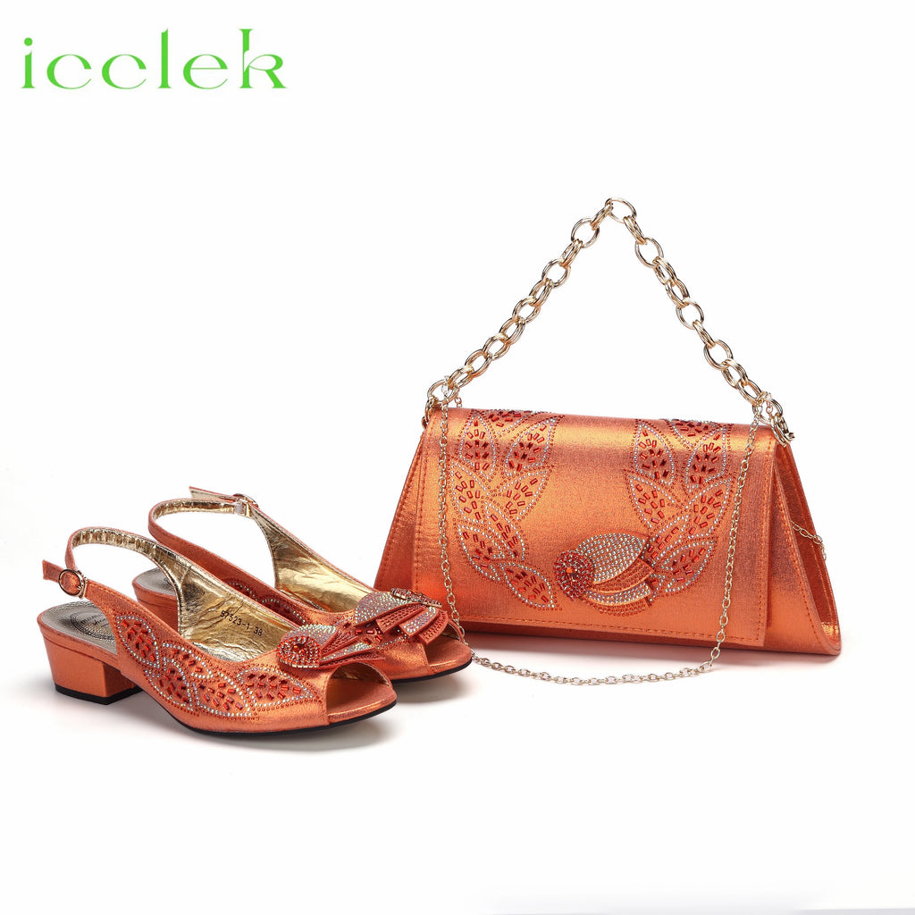 2023 Newest INS Style Brown Color Elegant Low Heels Nigeria Popular Design African Ladies Shoes And Bag Set for Wedding Party