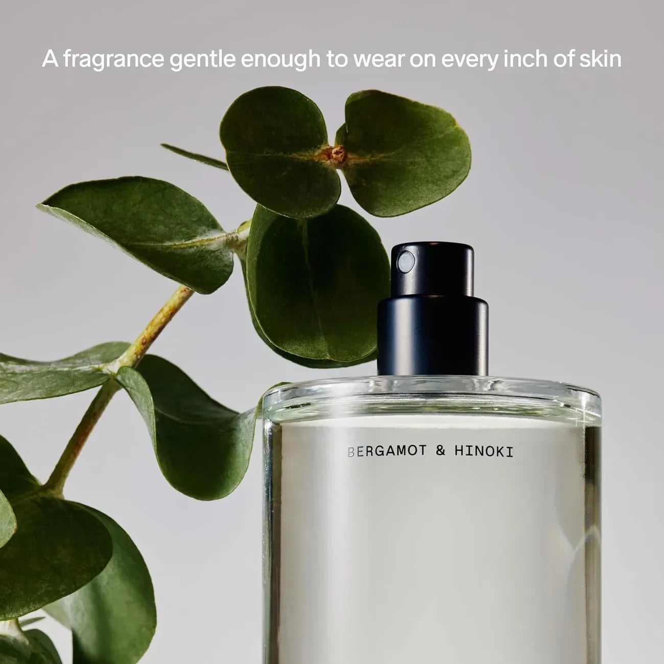 Salt & Stone Bergamot & Hinoki Eau de Parfum 100ml 3.4fl.oz Citrus Woody Scent