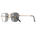 CRIXALIS Photochromic Classic Vintage Sunglasses For Men And Women Fishing Climbing Outdoor Sunshine Sun Glasses Shade UV400