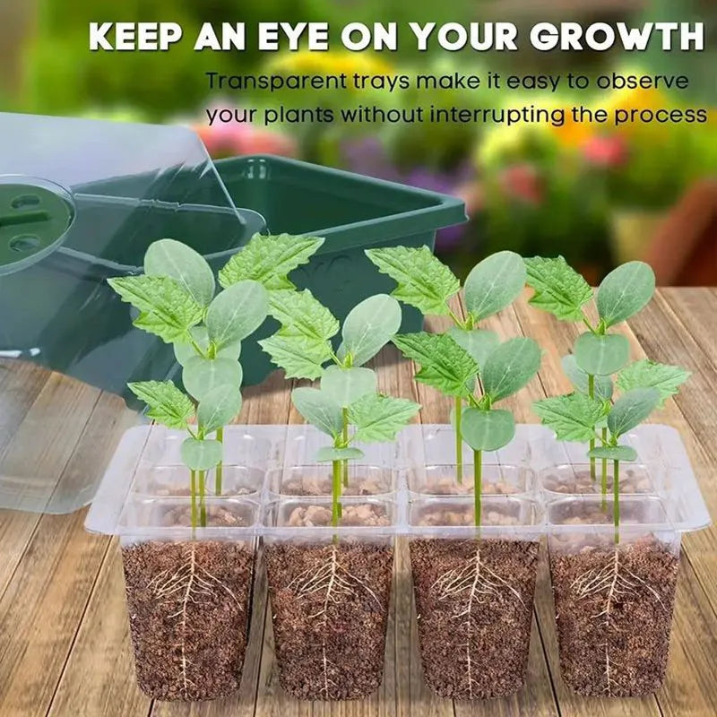 12-well Plastic Seedling Pot Succulent Sowing Seedling Box Insulated Seedling Tray