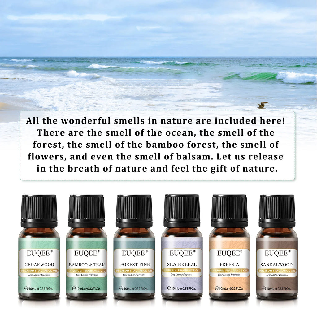 EUQEE 6PCS Fragrance Oils Gift Set For Candle Making - 10ml Sea Breeze,Forest Pine,Bamboo & Teak,Cedarwood,Sandalwood,Freesia
