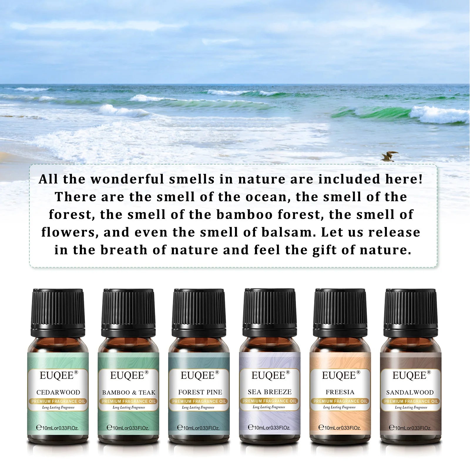EUQEE 6PCS Fragrance Oils Gift Set For Candle Making - 10ml Sea Breeze,Forest Pine,Bamboo & Teak,Cedarwood,Sandalwood,Freesia