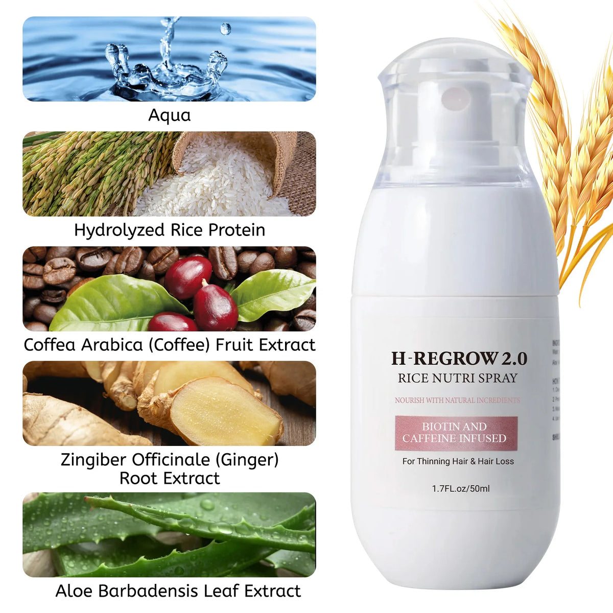H-REGROW 2.0 Rice Nutri Hair Spray 50ml, Biotin Caffeine Ginger Rice Protein Infused, Nourishing Scalp Care Spray for Thin & Fragile Hair Daily Use