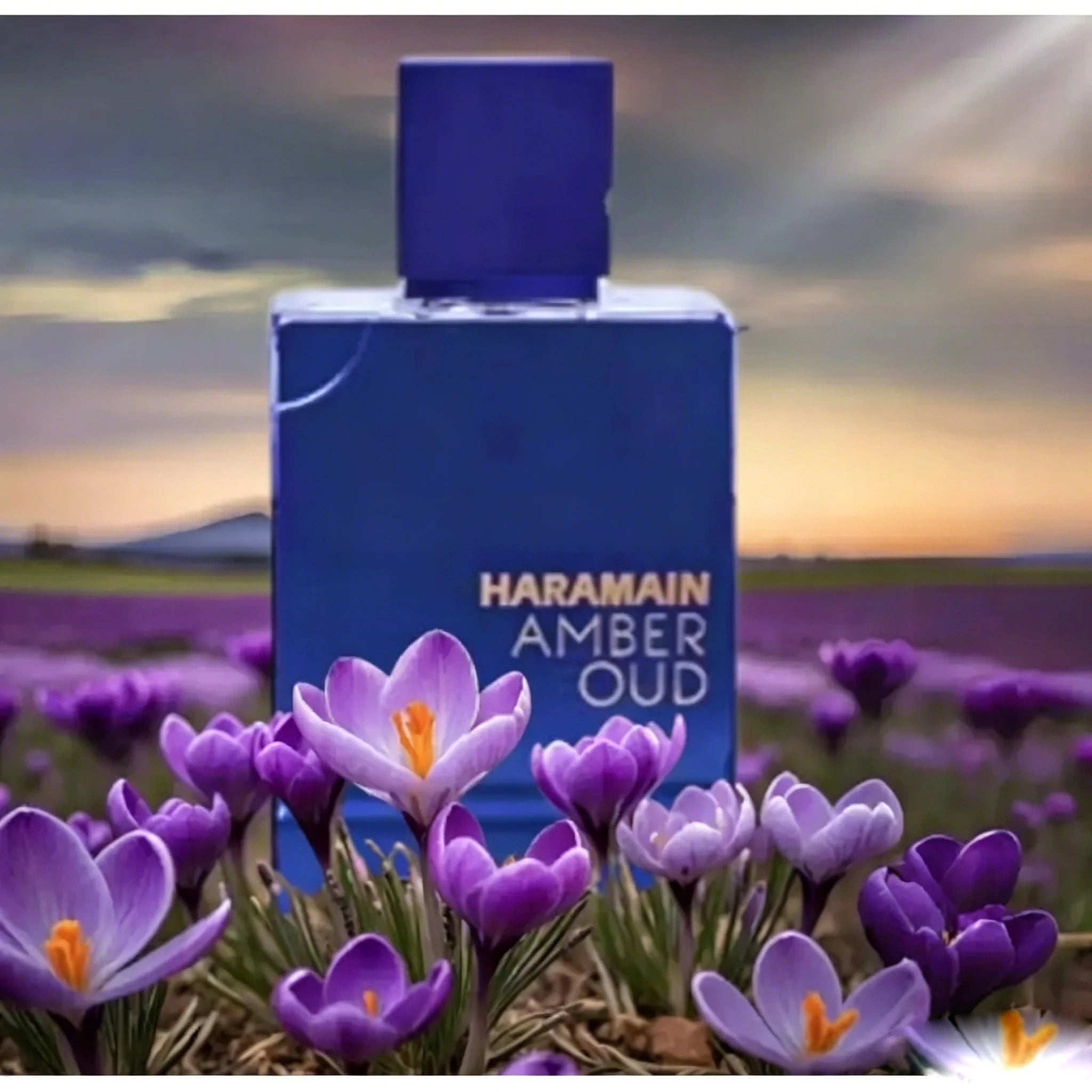 Al Haramain Amber Oud , The deep purple bottle captures the Dubai night sky, with saffron and amber interweaving warmth, ebony and sandalwood blending mysteriously, creating the luxurious and elegant night fragrance of the de