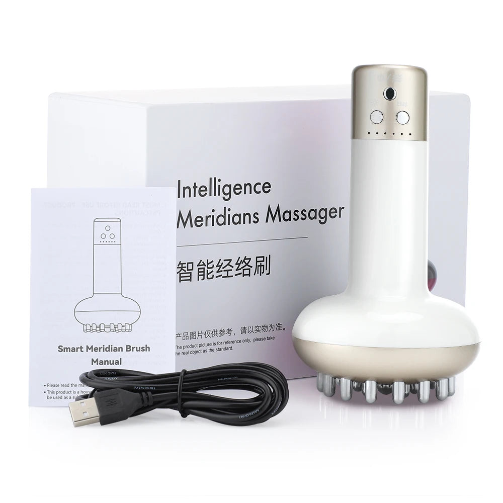 Intelligent Electric Massager Brush Home Portable Massager Fat Burning EMS Micro Current Vibrating  Beauty Apparatus for  Body