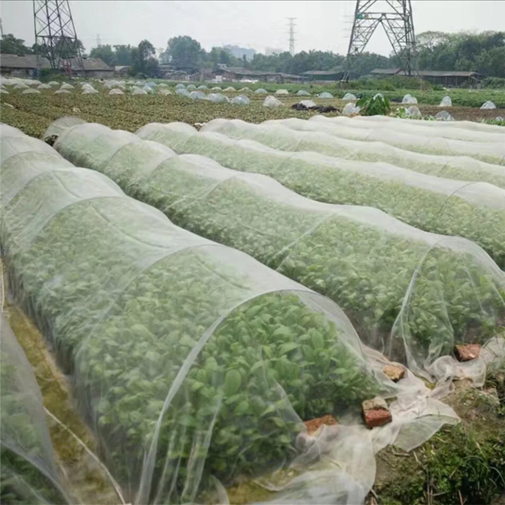 Insect Protection Net Garden Plant Insect Vegetables Fruit Flower Protection Greenhouse Cover Control Pest Anti-Bird