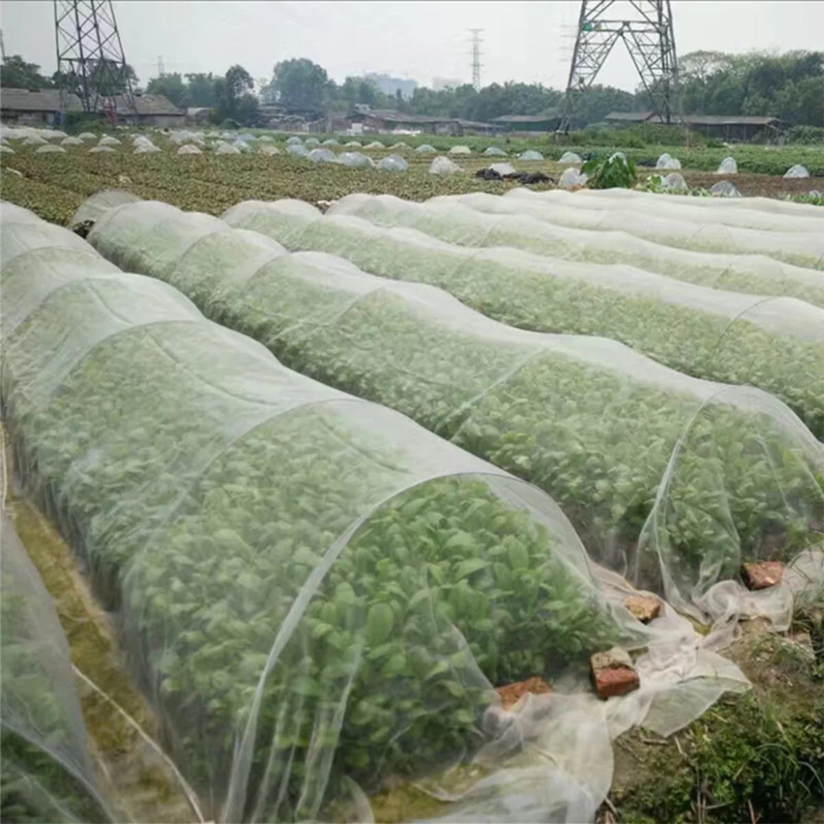 Insect Protection Net Garden Plant Insect Vegetables Fruit Flower Protection Greenhouse Cover Control Pest Anti-Bird