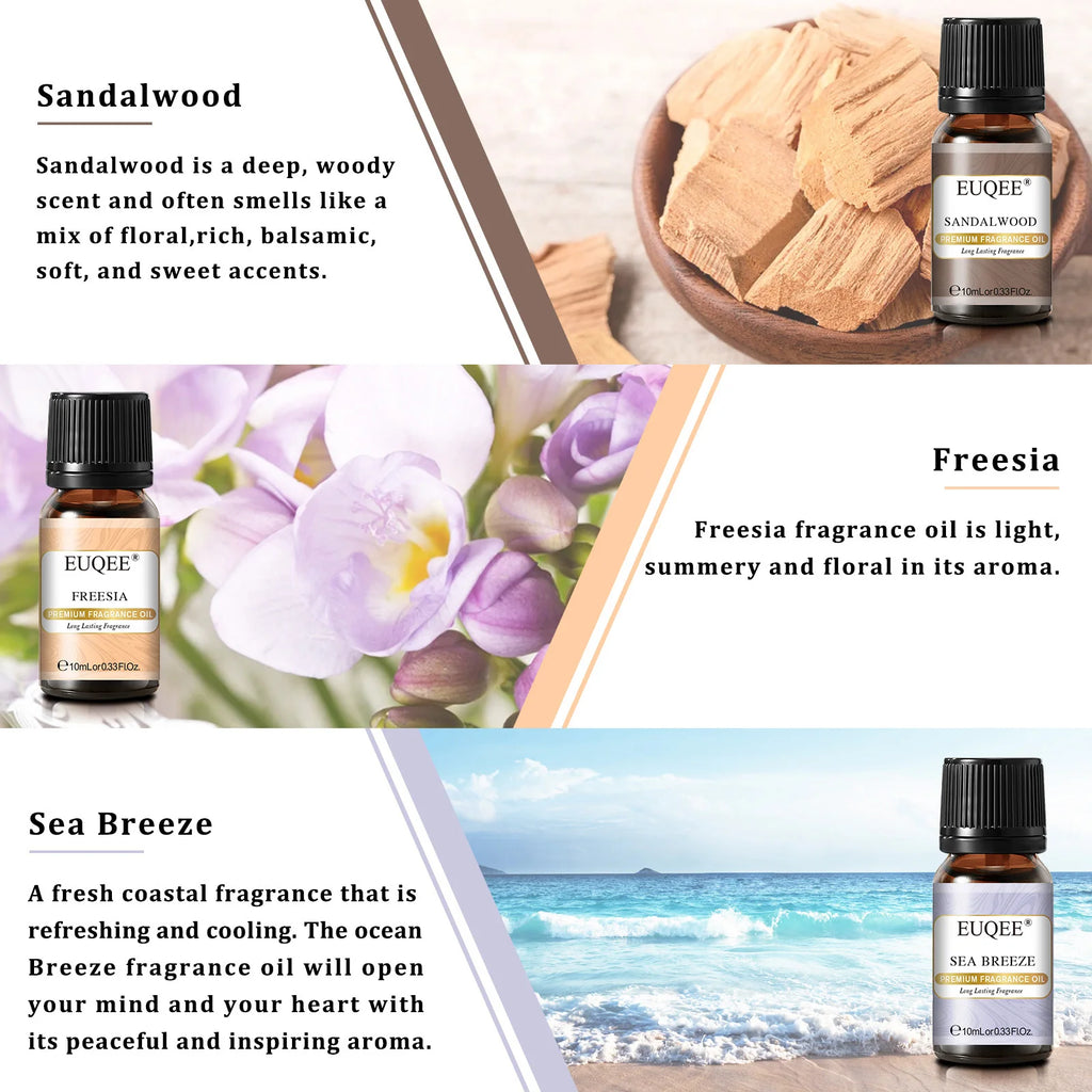EUQEE 6PCS Fragrance Oils Gift Set For Candle Making - 10ml Sea Breeze,Forest Pine,Bamboo & Teak,Cedarwood,Sandalwood,Freesia
