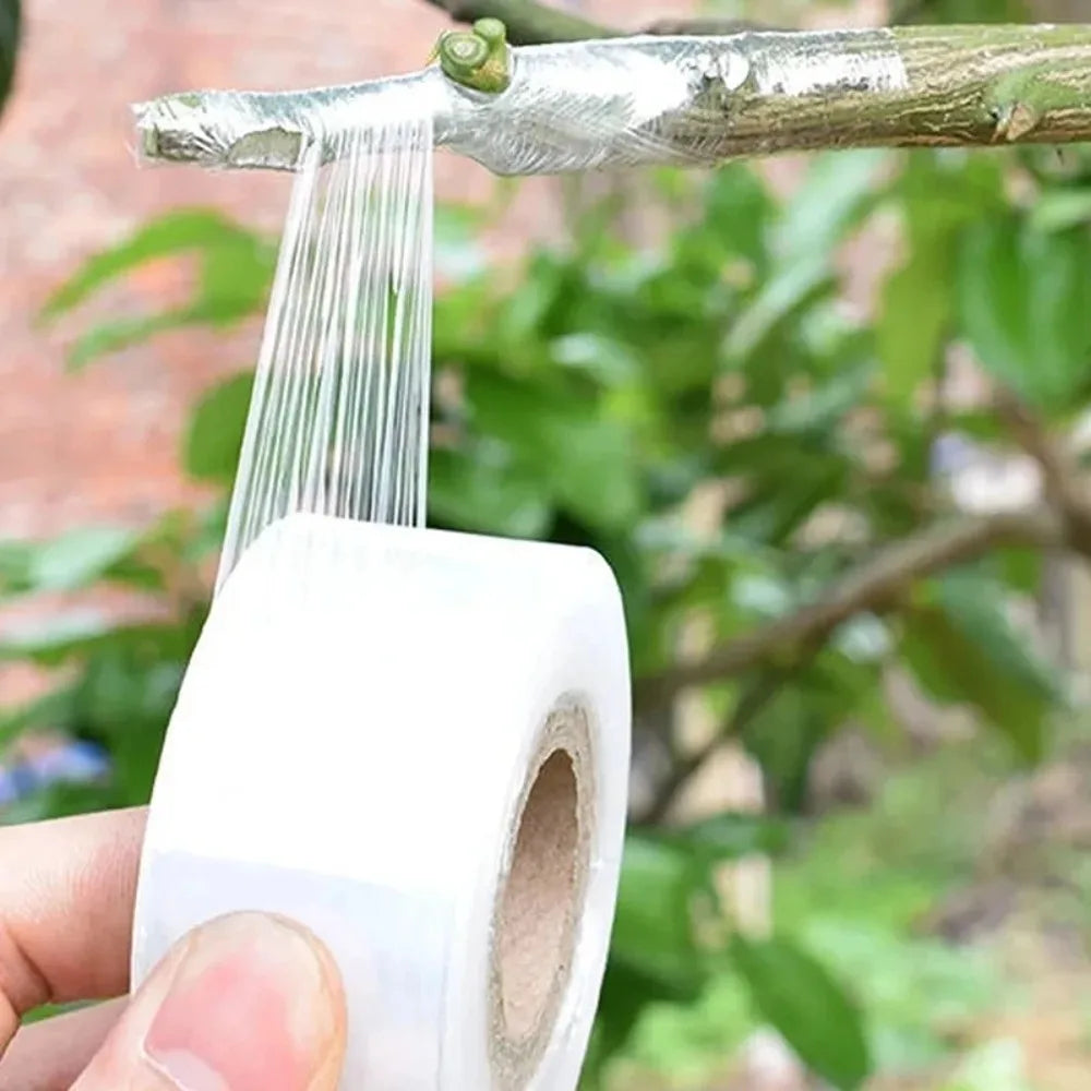 200m Length Eco-Friendly Biodegradable Grafting Tape Graft Membrane Gardening Bind Belt PE Grafting Tape Packaging wrapping film