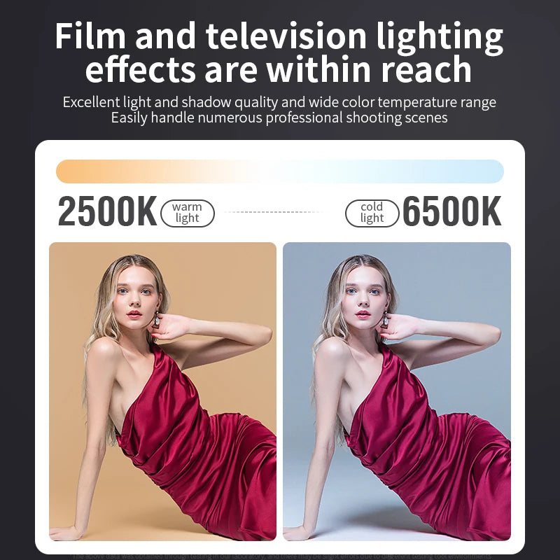 Bi-Color Camera Light 80W COB lamp beads video fill light mini Bowens portable can be handheld live lights 2500-6500K dimmable