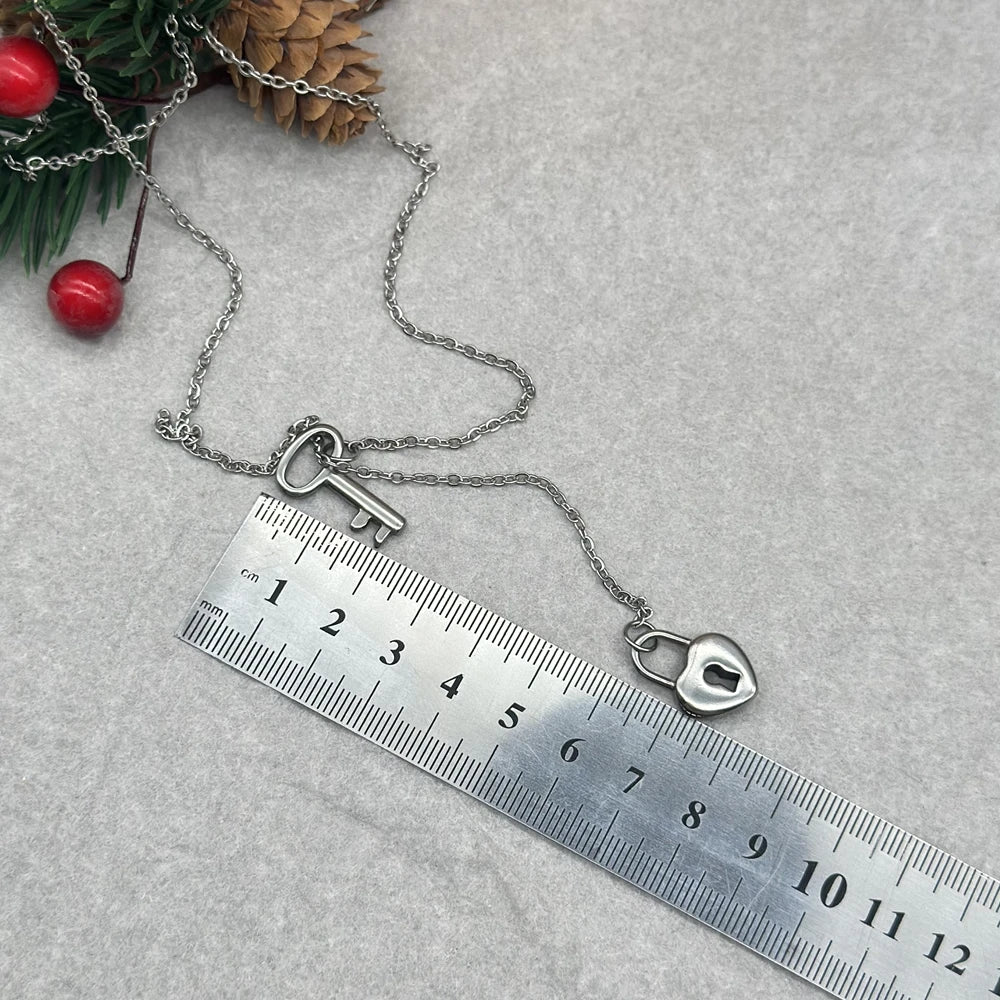 Key to My Heart Lock and Key Lariat Necklace Stainless Steel Dainty Love Padlock Key Y Necklace Valentine Necklace Gift for Her