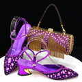 Venus Chan 2023 Newest INS Style Lace Elegant High Heels Pointed-Toe Nigeria Popular Design African Ladies Shoes And Bag Set