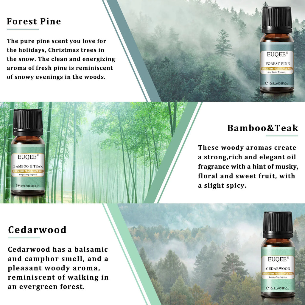 EUQEE 6PCS Fragrance Oils Gift Set For Candle Making - 10ml Sea Breeze,Forest Pine,Bamboo & Teak,Cedarwood,Sandalwood,Freesia