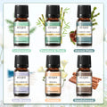 EUQEE 6PCS Fragrance Oils Gift Set For Candle Making - 10ml Sea Breeze,Forest Pine,Bamboo & Teak,Cedarwood,Sandalwood,Freesia