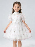 Spring And Summer Girls Flower Embroidery Princess Sleeves Sweet And Cute Hosting Banquet Mesh Dress