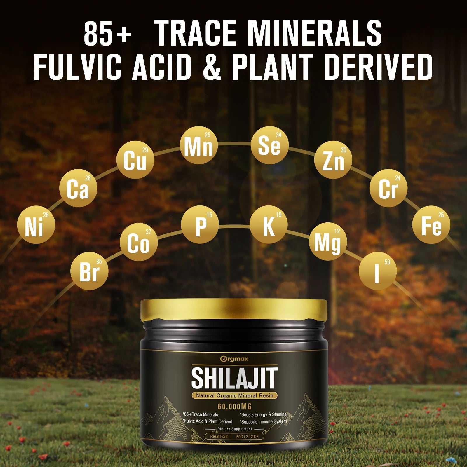 Himalaya Shilajit Resin Original High in Trace Minerals& Fulvic Acid for Energy, Muscle Strength & Immunity, Endurance for Adult