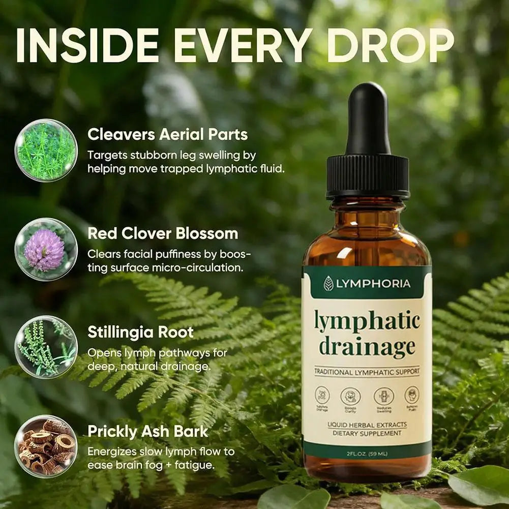 Lymphatic Support Drops Natural Herbal Extract Gentle Liquid Formula Circulation Care Swelling Discomfort Relief for Adults