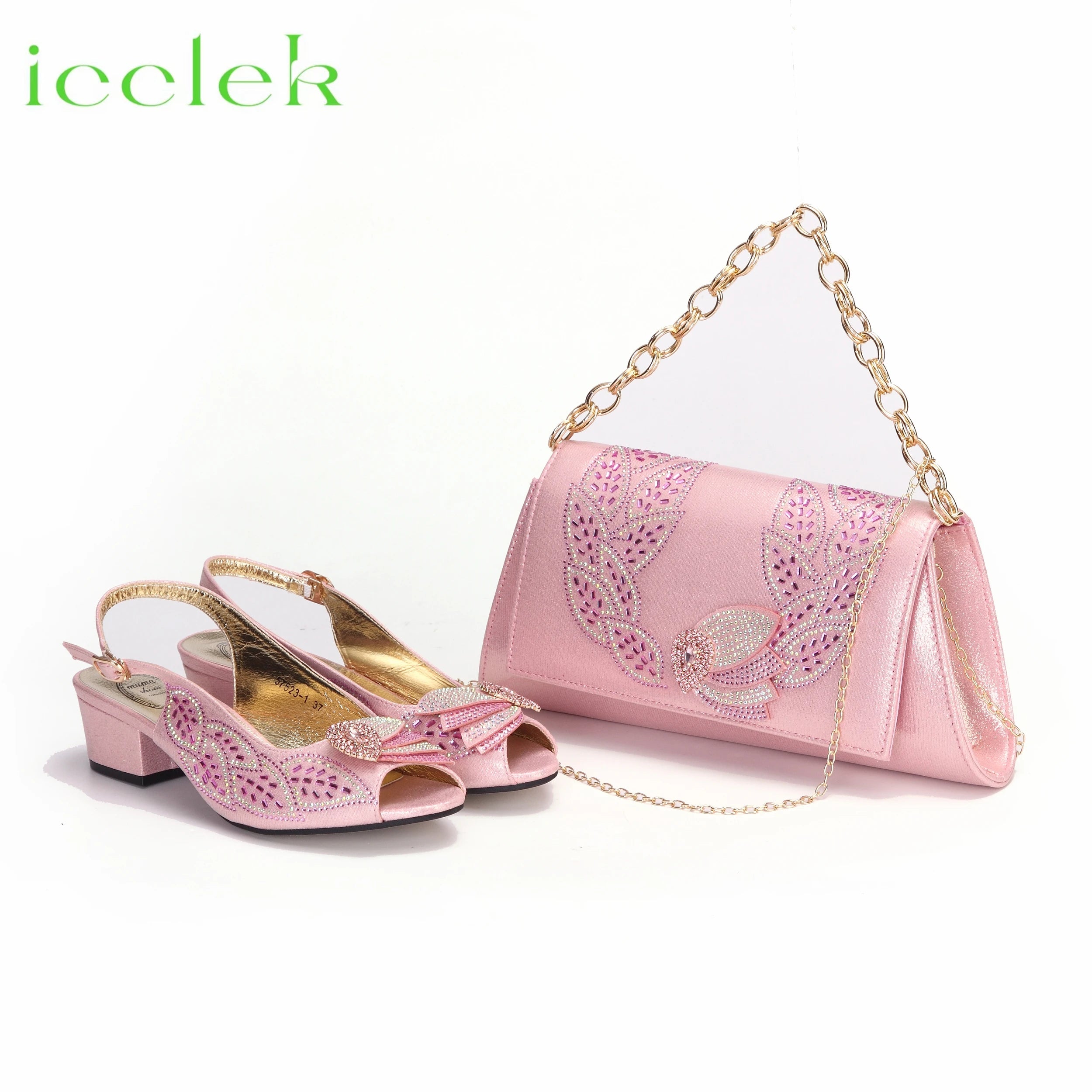 2023 Newest INS Style Brown Color Elegant Low Heels Nigeria Popular Design African Ladies Shoes And Bag Set for Wedding Party