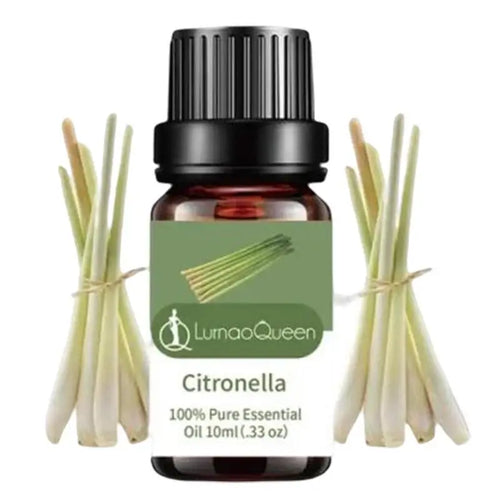 10 mL Fragrance Oil – 14 Scent Options